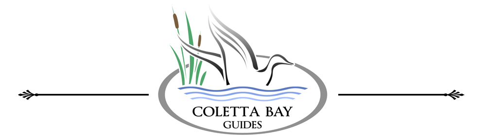 Coletta Bay Guides